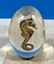 Ancien œuf résine inclusion