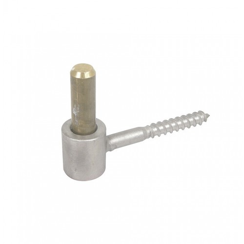 Gond vis bois - en, inox