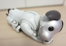 Sony AIBO ERS-1000 Robot Dog
