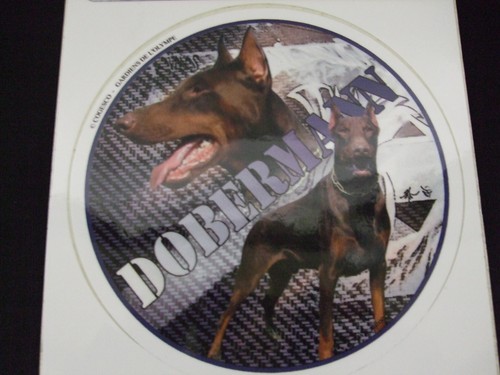 Autocollant motif chien - autocollant,