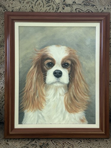 Cavalier king charles spaniel - cavalier,