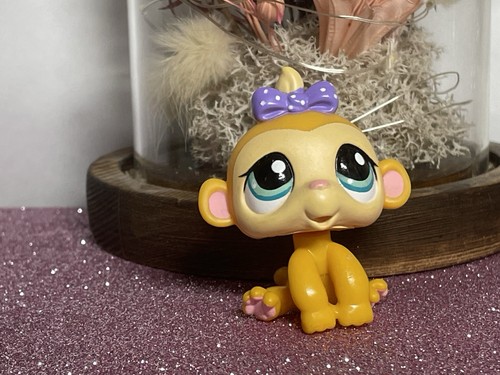 Petshop singe capucin - 🌸petshop,