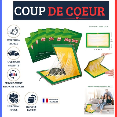 Piège souris collant 6 - souris,