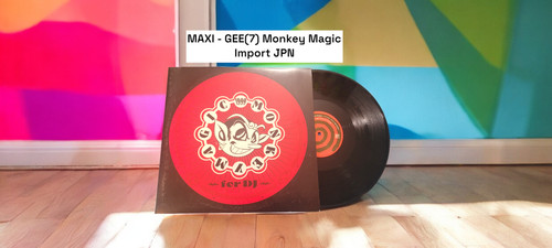 Disque maxi tours vinyle - disque,