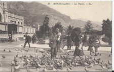 CPA - MONTE CARLO - Les Pigeons - ANIMEE