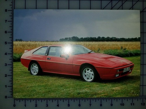Feuille brochure lotus - feuille,