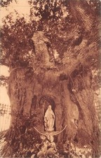 Old postcard le chêne de Saint-Vincent-de-Paul (500049)