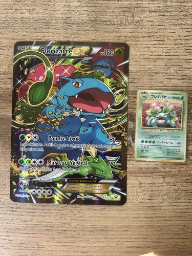 Pokémon jcc carte florizarre - jcc,
