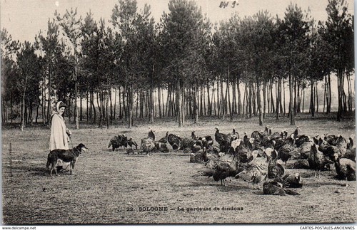 Sologne la gardeuse - en,