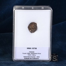 Météorite NWA 15738 de 2,26