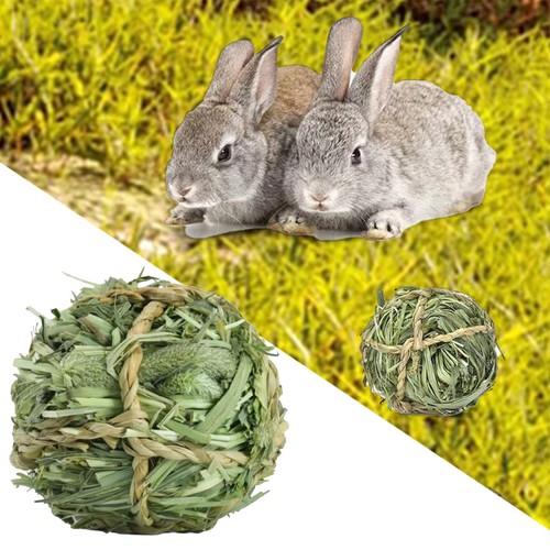 Jouets mâcher pour lapin - mâcher,