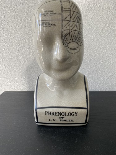 Phrenology head fowler - phrenology, l.n.