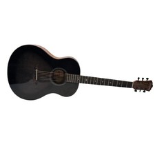 Washburn Bella Tono Novo S9