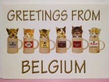 Greetings from Belgium cats in beer steins mugs Hoegaarden Jupiler Leffe Duvel