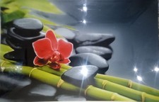 Service de 8 grandes assiettes