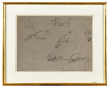 CHINA INK DRAWING CANARY BIRDS EMILE ZIPELIUS 19TH CENTURY (99)