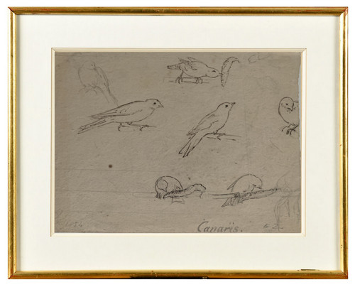 Dessin encre chine oiseaux - dessin, de