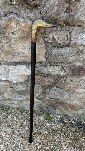 Rare charmante canne de - et,