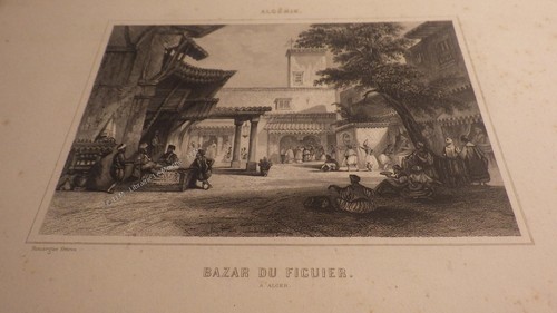 1850 alger bazar - 1850.alger, figuier