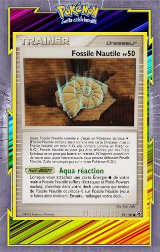 Fossile nautile dp05 aube - 🌈fossile, nautile-dp05:aube