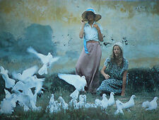 Carte Postale   DAVID  HAMILTON   Format 12x17cm  Postcard CP