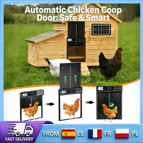 Porte automatique poulailler