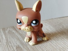 Littlest Petshop LPS Chien Dog Boston Terrier #1785 HASBRO Officiel 