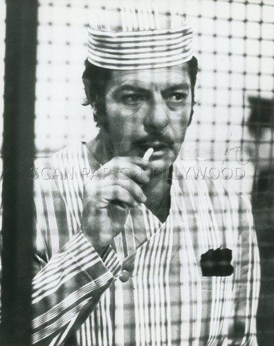 Marcello mastroianni pupa - mastroianni,