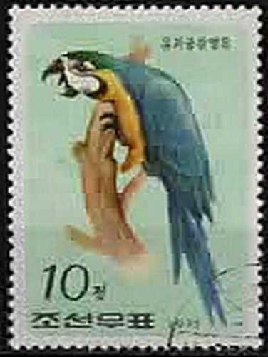 1975 corée perroquets - corée.,