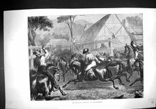 Old 1871 Mustering Cattle Australia Chillingham Horses Elastic Wheels 19th