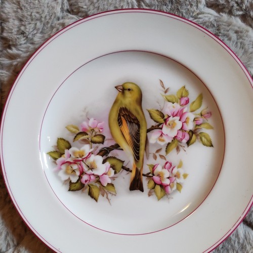 Limoges france assiette - limoges,