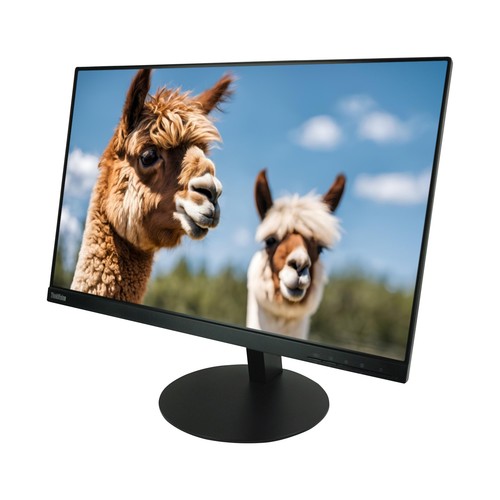 Lenovo thinkvision t24d 24 - t24d-10,