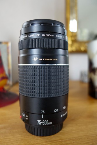 Objectif zoom canon - canon, 75-300