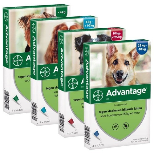 Advantage anti puces - anti, chien