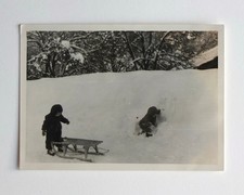 Enfants petits luge bois neige