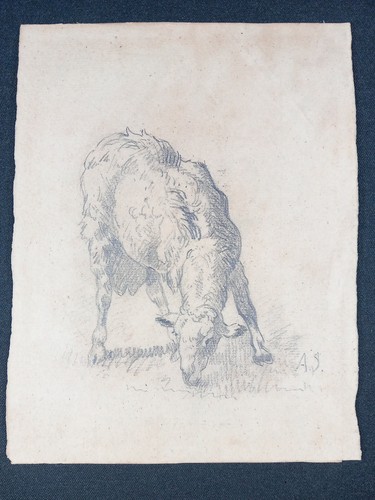 Mouton dessin au crayon - dessin,