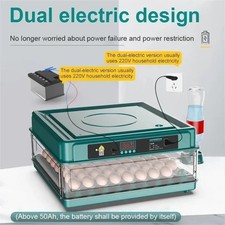 Incubateur Œufs Automatique