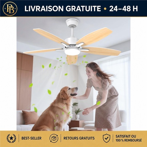 Ventilateur plafond airwit - ventilateur,