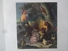 Art Print / A Family of Chickens / Medium Hen with Blue Dots in Plumage