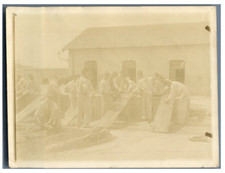 France, Scène de genre militaire. Le nettoyage de harnachement  Vintage citrate 