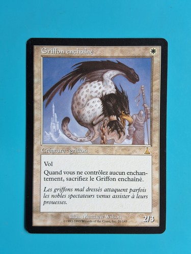 Magic the gathering - gathering,