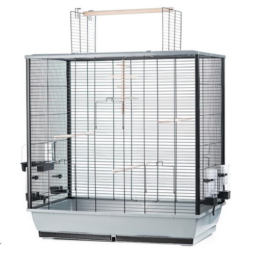 Grande cage oiseaux - cage, à