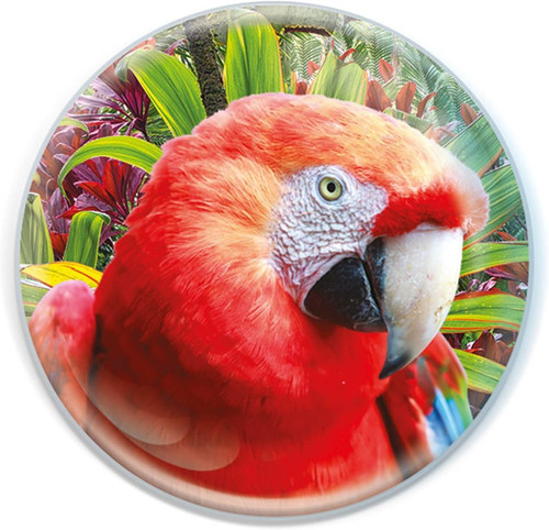 Magnidome perroquet de - magnidome,