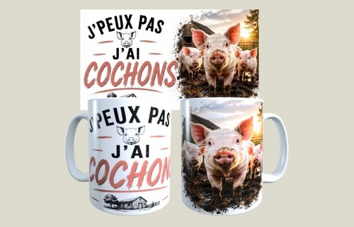 Mug humour peux - j'peux, pas