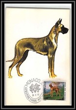 49028 N°880 Dogue allemand