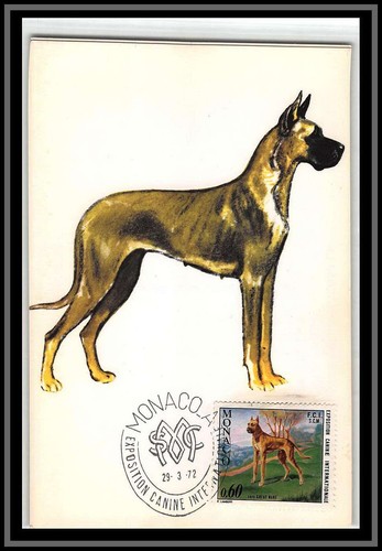 49028 880 dogue allemand - n°880,