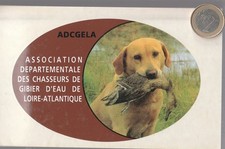 C64. Chasse. ASSOCIATION