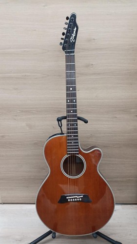 Guitare électrique acoustique