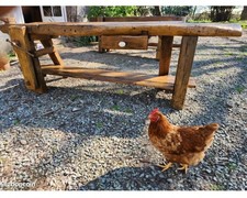 Manifique ancien établi de