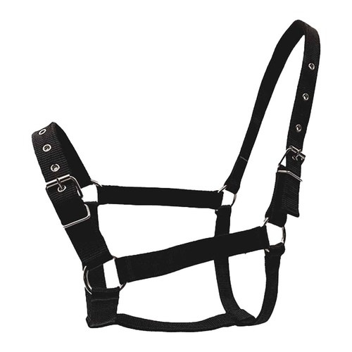 Harnais bride pour cheval - et,